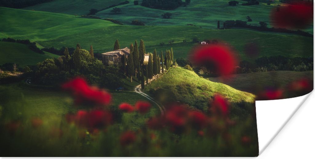 MuchoWow Poster Toskana - Mohnblumen - Italien 160x80 cm - Foto Poster