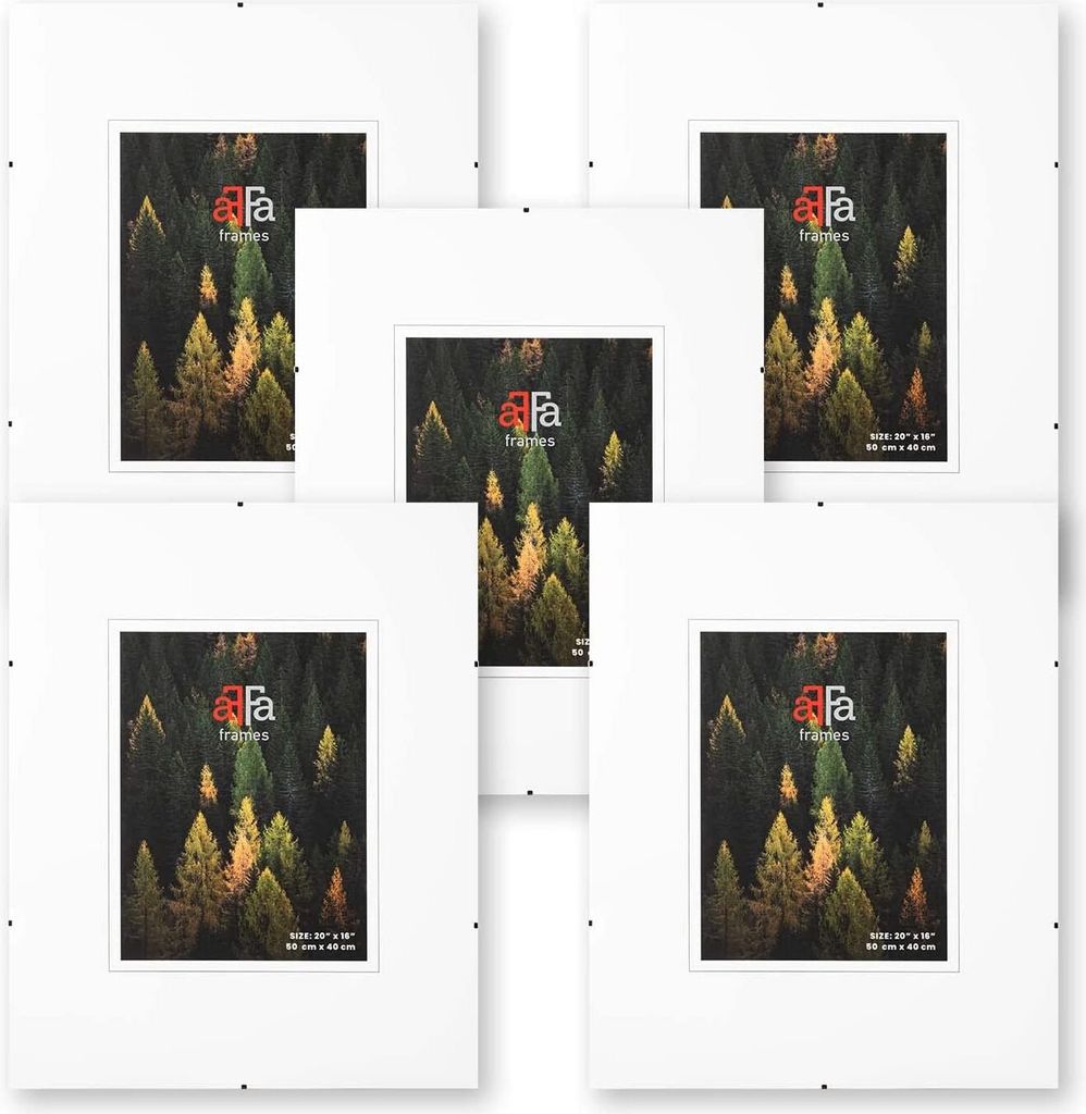 aFFa frames Rahmenloser Bilderhalter | Bilderrahmen | Acrylglas | mit Clips | für Fotos und Poster | Plakatrahmen | Cliprahmen | Posterrahmen |Ple...