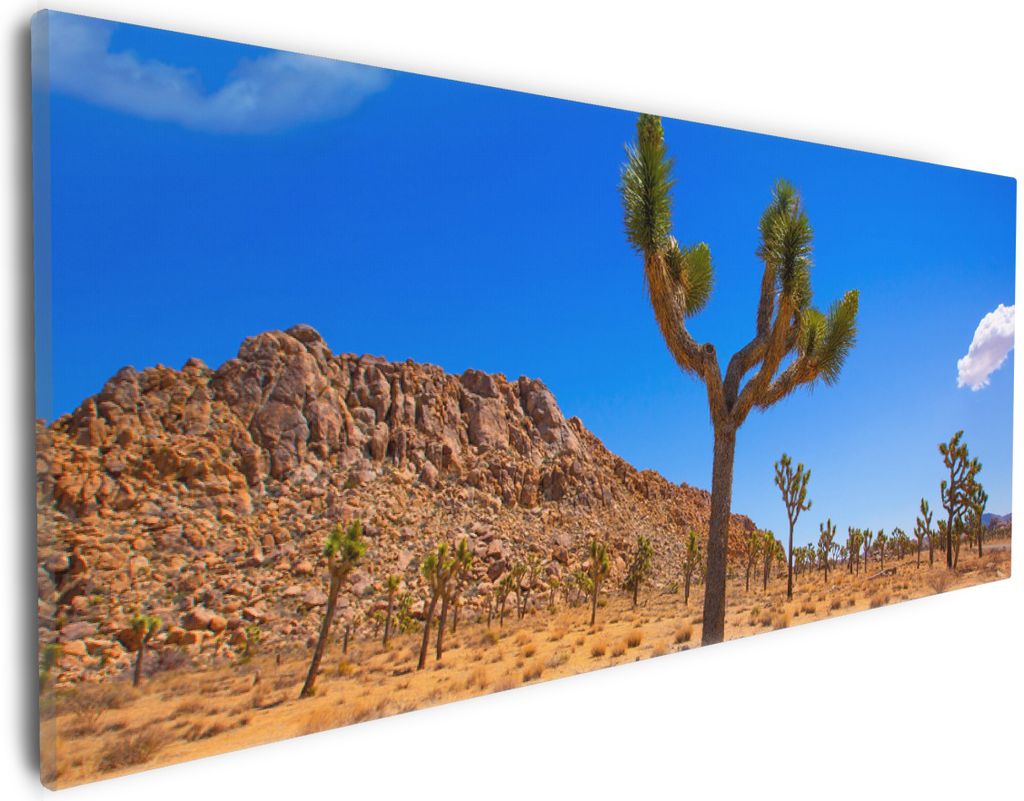 Wallario Premium Leinwandbild Palmlilie im Nationalpark Yucca Valley Wüstenlandschaft in Größe 30 x 75 cm