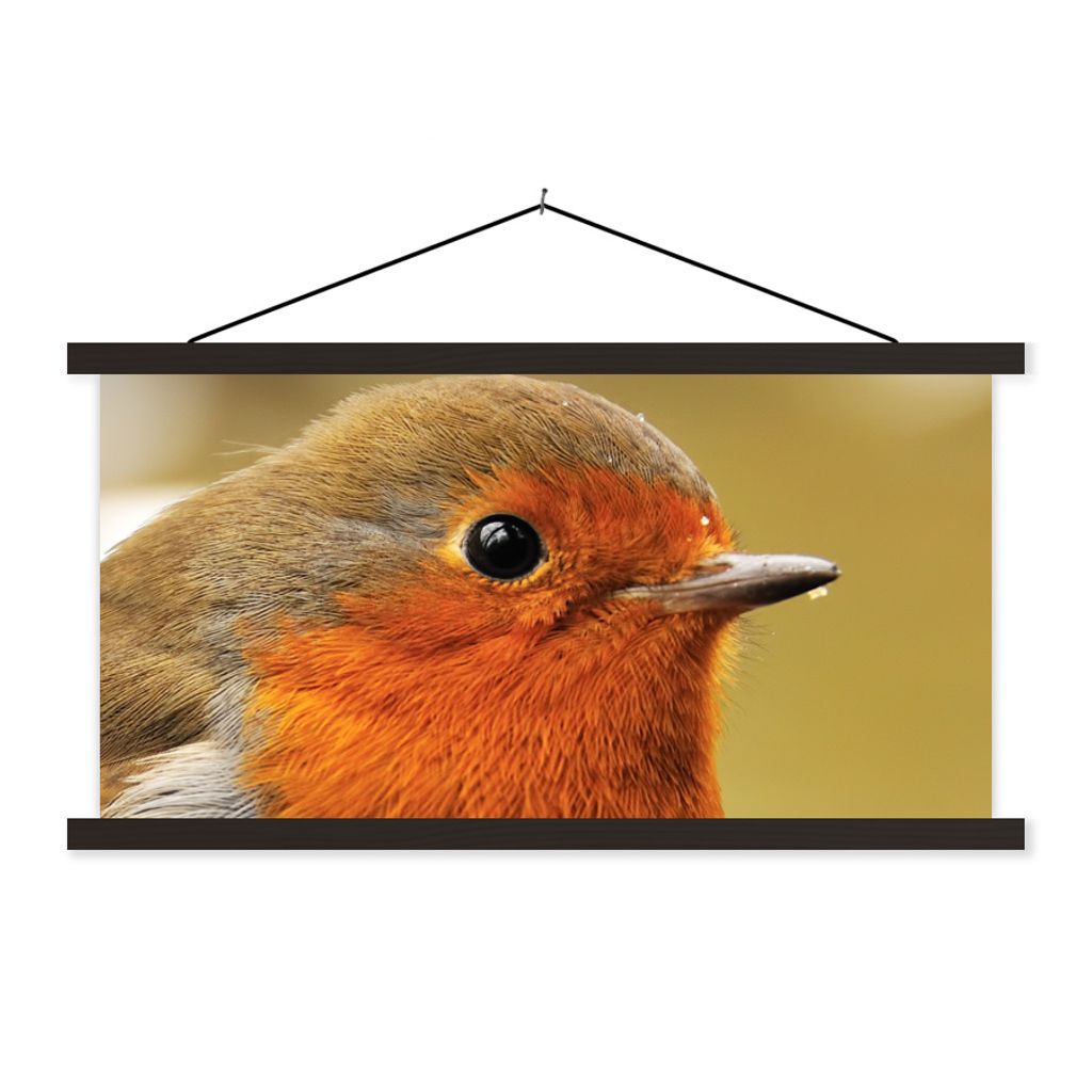MuchoWow Textilposter Vogel - Rotkehlchen - Porträt 150x75 cm mit schwarzem Rahmen - Posterleiste