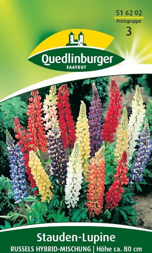 Quedlinburger Saatgut - Stauden-Lupine Russels Mischung -