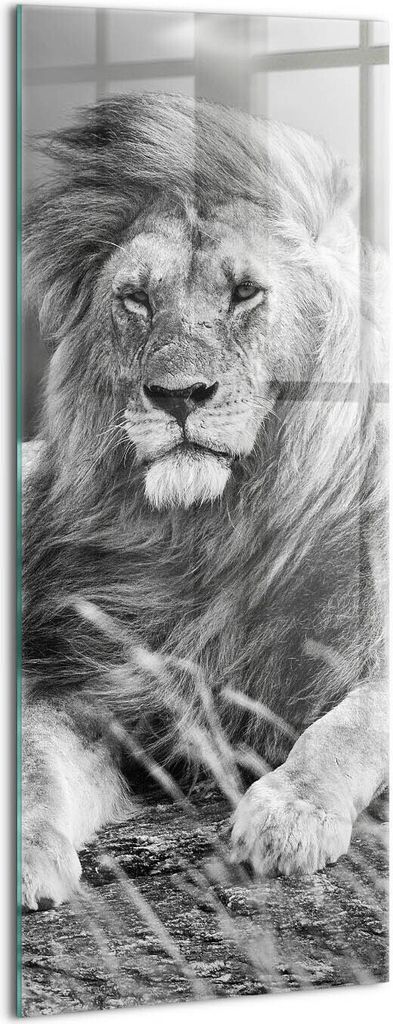 Designer Glasbild - Wandbild - Glas Bild - 50x125 cm - Majestätischer Tierlöwe