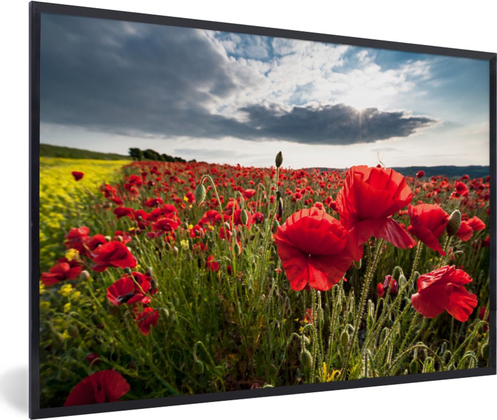 MuchoWow Gerahmtes Poster Mohnblumen gegen einen dramatischen stürmischen Himmel 60x40 cm - Poster mit Schwarzem Bilderrahmen Wandposter Rahmen ...