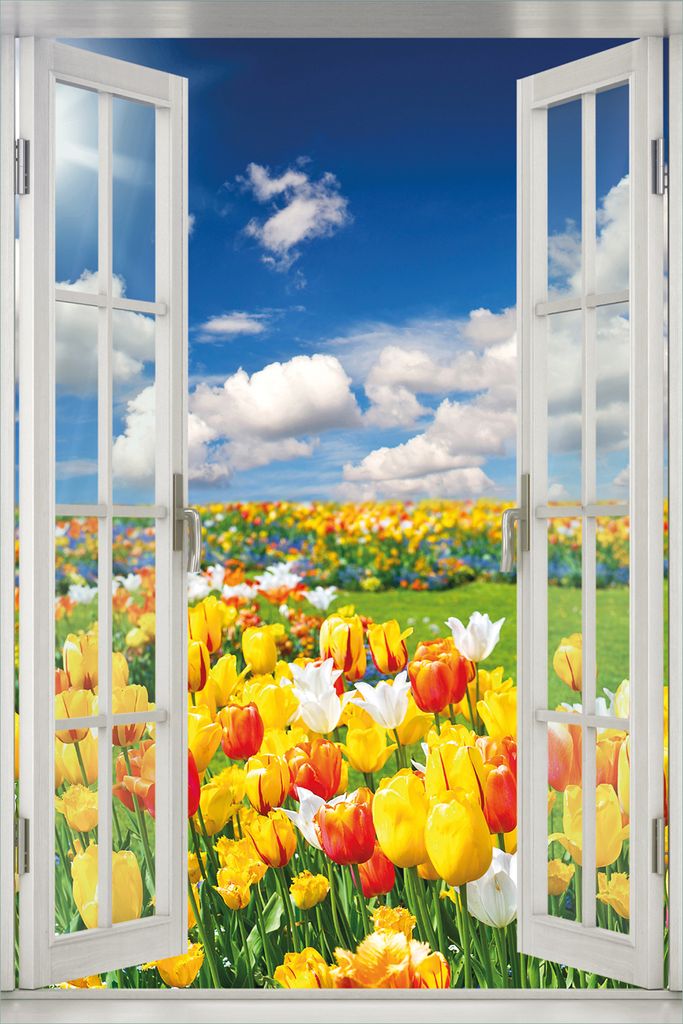 Wallario Wandbild aus Acryl, 60 x 90 cm, freischwebende Produktbild 