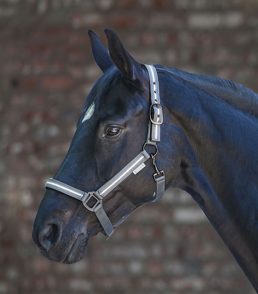Waldhausen Halfter Reflex Stripe Stallhalfter Grau Pony