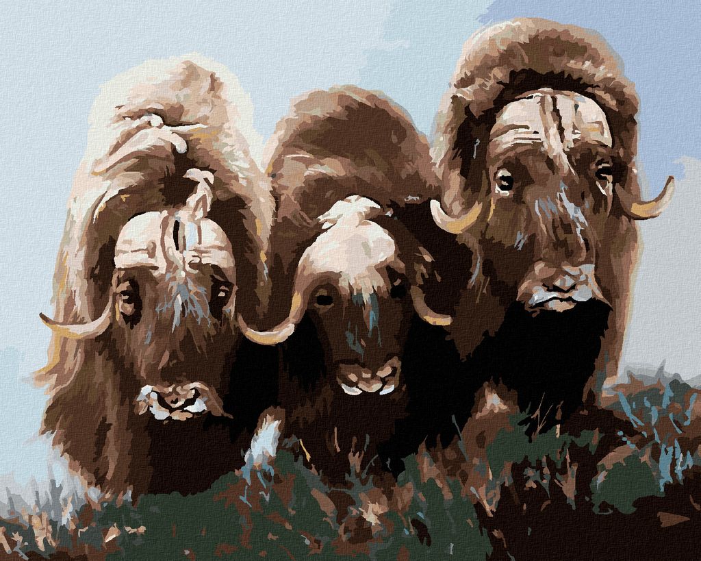 Zuty - Malen nach Zahlen - BISON (D. RUSTY RUST), 40x50 cm, mit Keilrahmen (bereits gespannt)