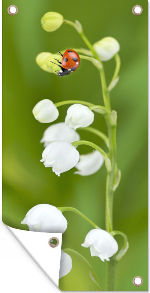 MuchoWow 40x80 cm Outdoor-Poster Gartendeko Sichtschutz Garten Poster für den Garten Ein Marienkäfer auf einem weißen Maiglöckchen