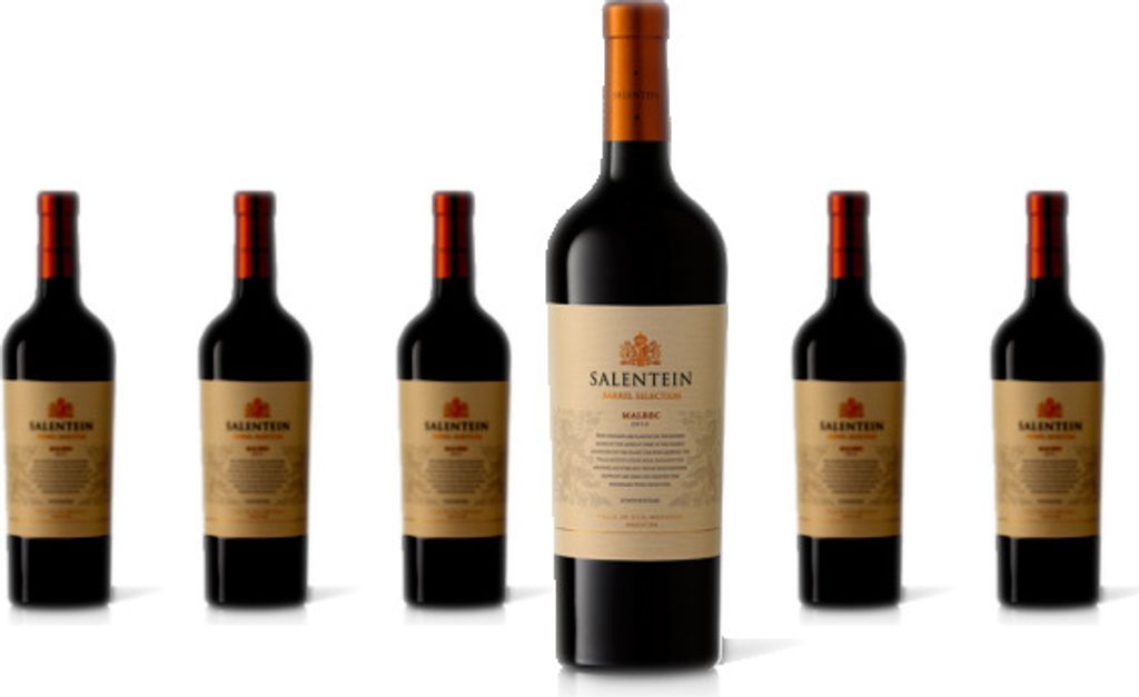 6 x Salentein  Barrel Selection Malbec – 2019 Produktbild 