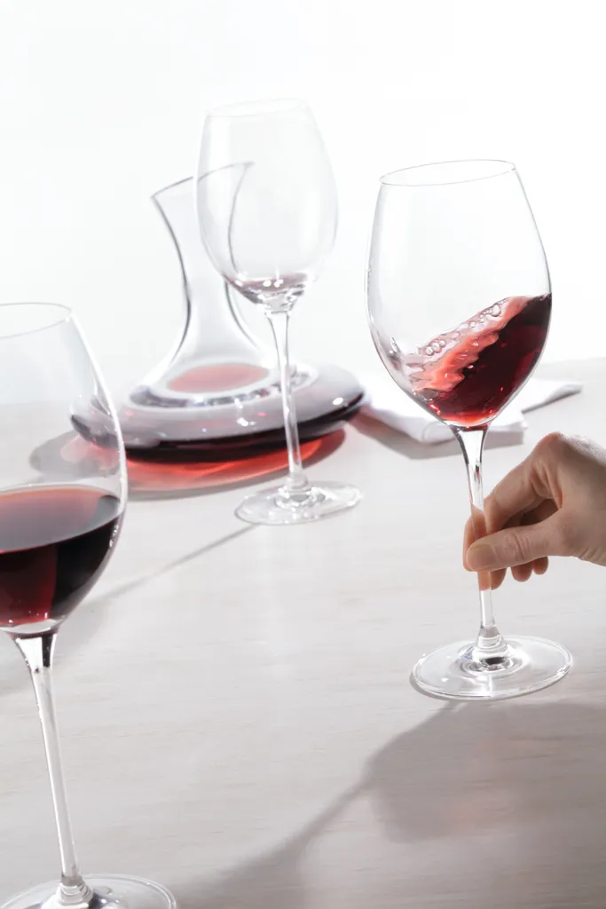 Caraffa Vino Leonardo Cheers 0,75l L027810 - Design Classico e Robusto - 5