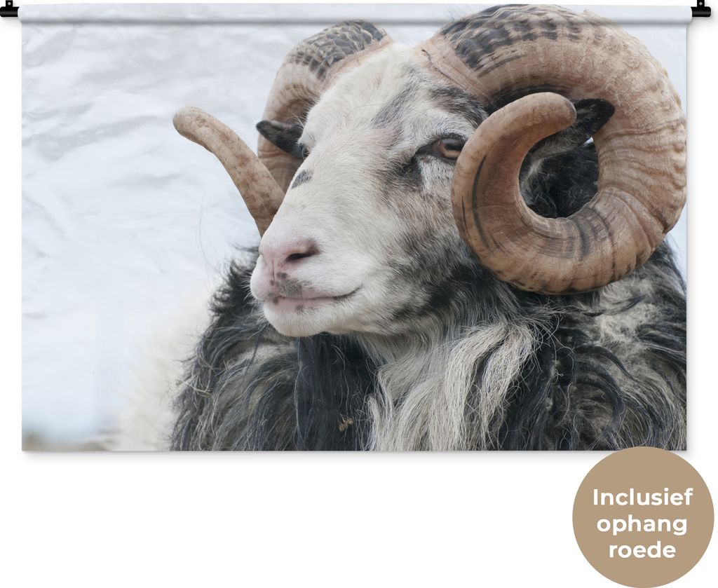 MuchoWow Wandteppich Wandbehang Schafe - Horn - Tiere 150x100 cm Tapisserie Dekoration Wandtuch - Waschbar - Tapisserien - Wand-Decke