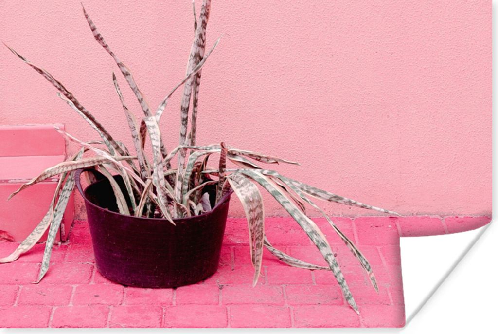 MuchoWow Poster Sommer - Rosa - Pflanzen 60x40 cm - Schlafzimmerdekoration