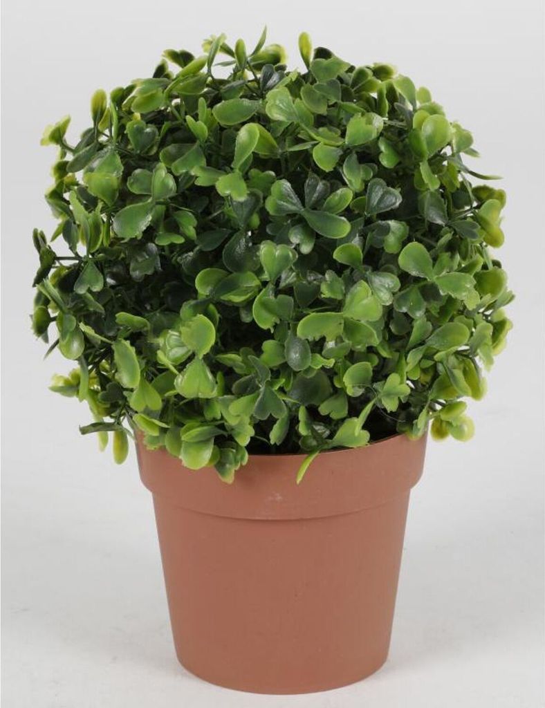 Künstlicher Buchsbaum Topf Pflanzen Blumen Dekoration Haushalt Wohnen Zimmer