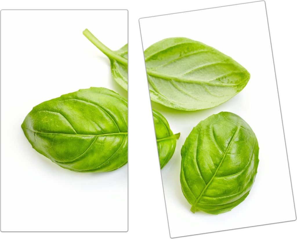 Spritzschutz Herdabdeckplatte Schneidebrett aus Glas Basilikumblätter 2-Teilig (60x52cm)