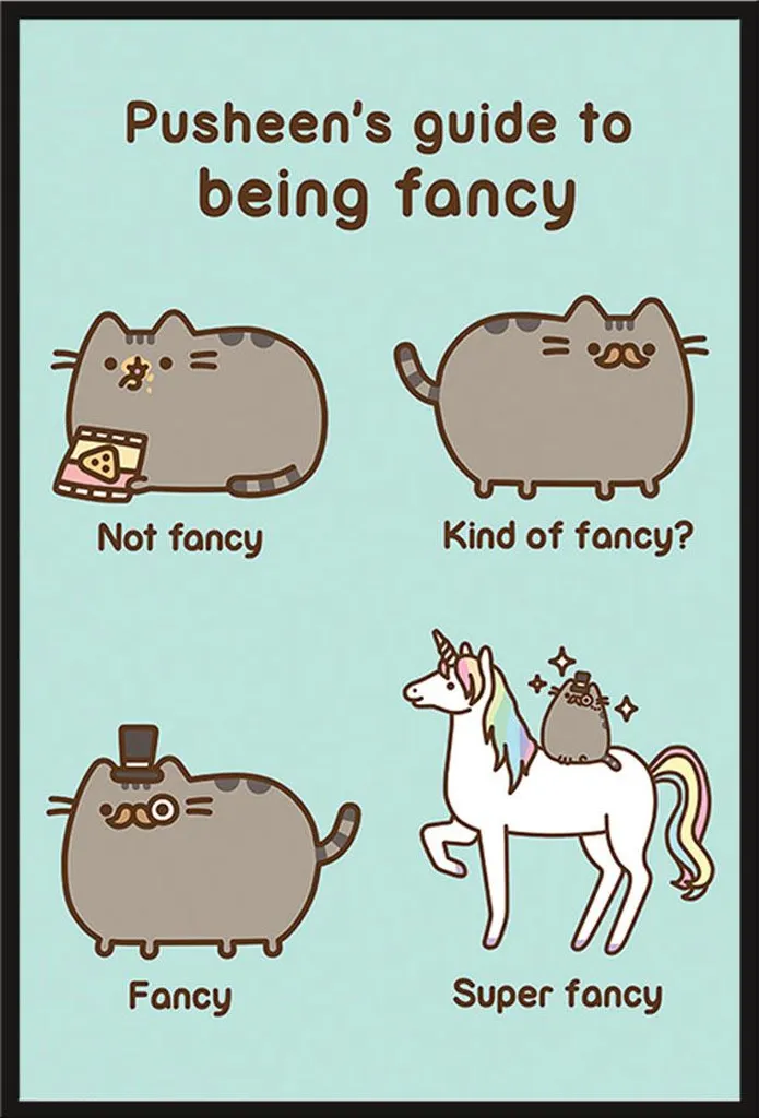 Poster Pusheen Fancy Encadré sous Verre Acrylique Shinsuke Noir Maxi