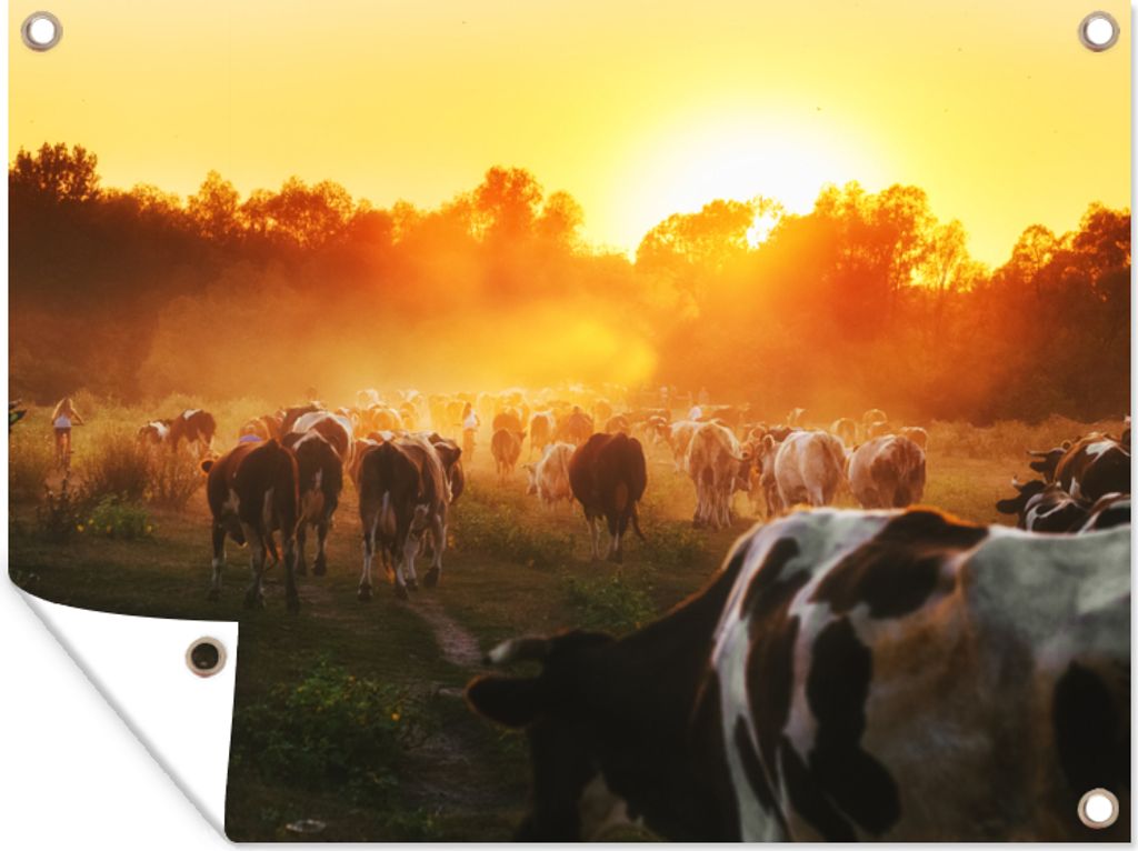 MuchoWow 40x30 cm Outdoor-Poster Gartendeko Sichtschutz Garten Poster für den Garten Kühe - Sonnenuntergang - Wiese - Tiere