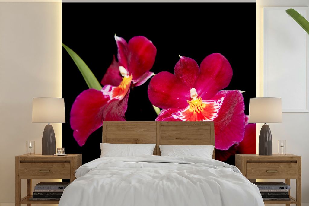 MuchoWow Fototapete für Wohnzimmer oder Schlafzimmer Wandtapete Vinyl Motivtapete Rote Orchideen vor schwarzem Hintergrund - 260x260 cm - Papier...