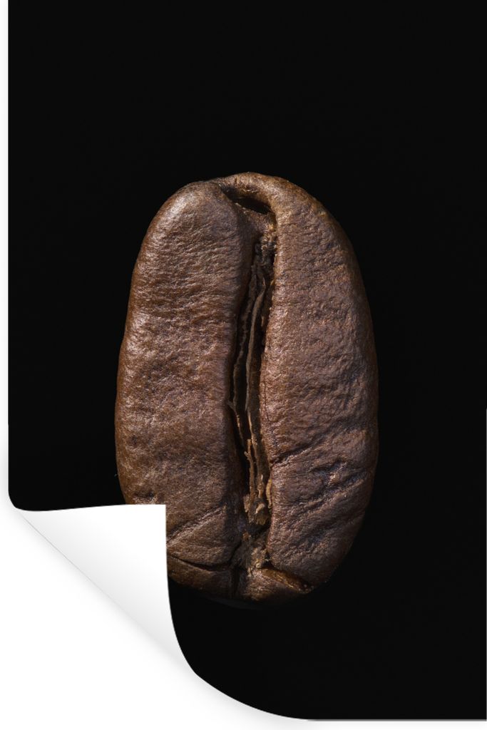 MuchoWow - Wierderverwendbar - Selbstklebend