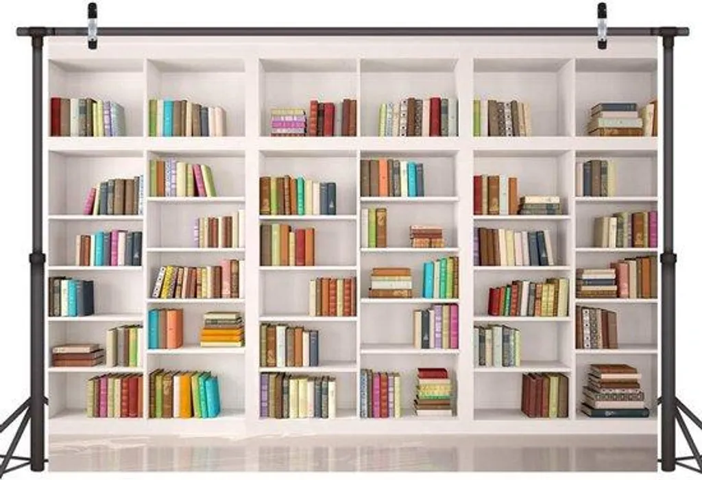 Fond Murale Bibliothèque pour Bureau - Idéal Appel Vidéo Télétravail