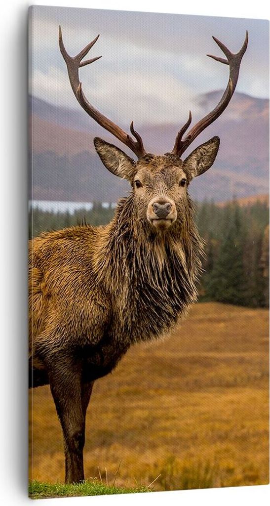 Bild auf Leinwand - Leinwandbild - Einteilig - Rehe Wiese Berge - 55x100cm - Wand Bild - Wanddeko - Wandbilder - Leinwanddruck - Bilder - Wanddekor...