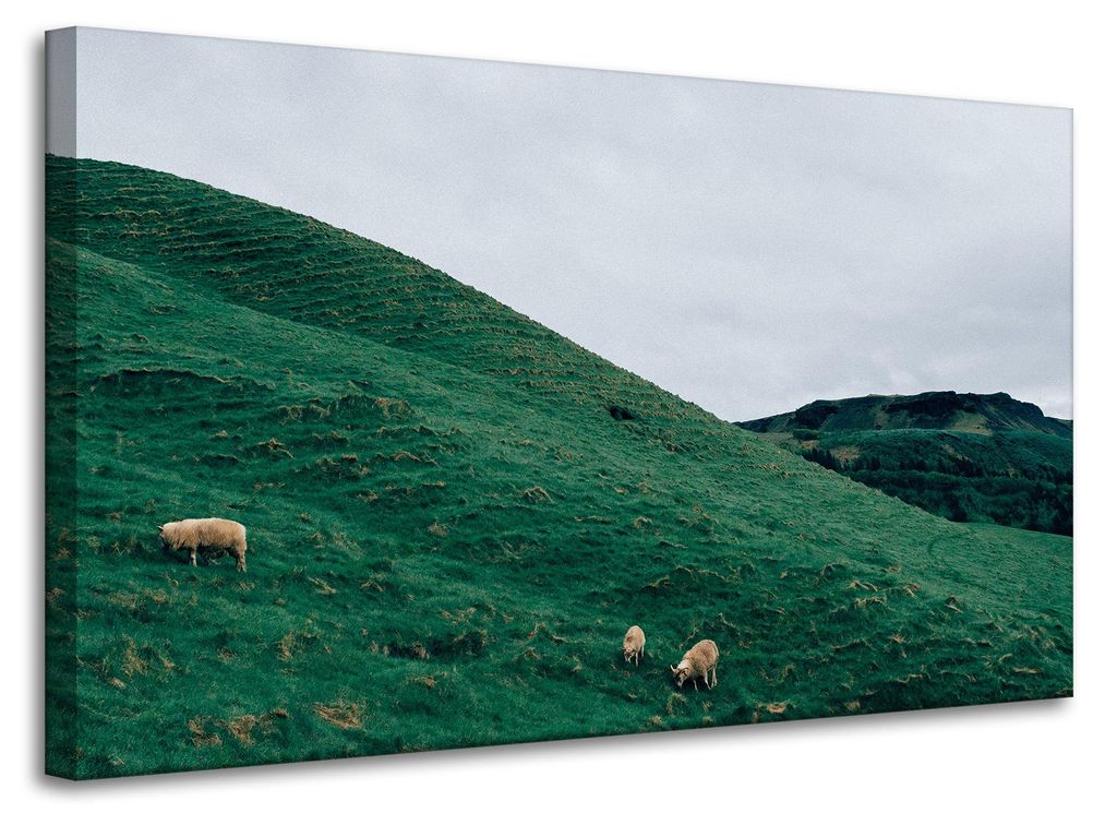 Leinwanddruck Naturweide in den Bergen 100x60