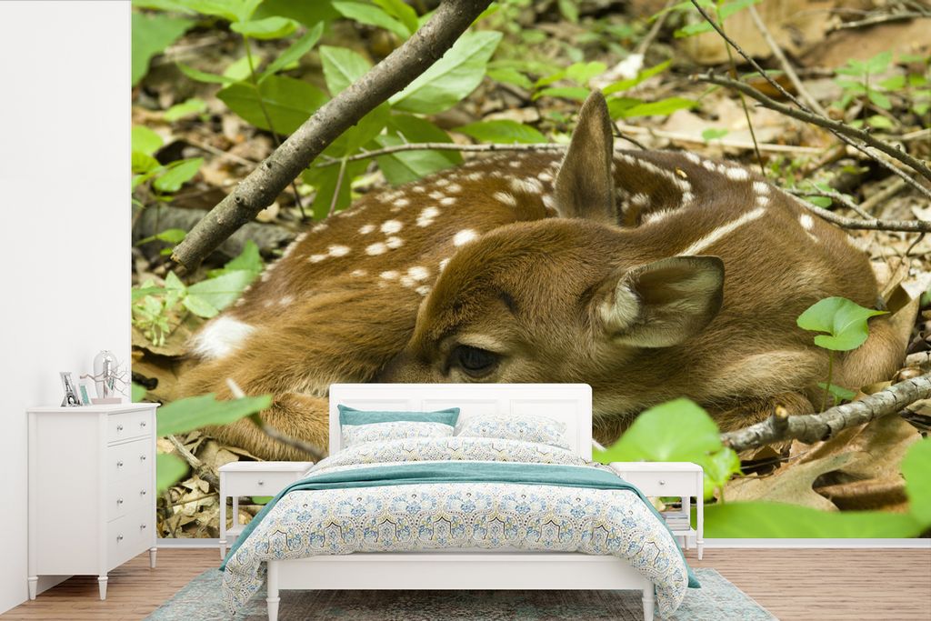 MuchoWow Fototapete für Wohnzimmer oder Schlafzimmer Wandtapete Vinyl Motivtapete Rehe - Sträucher - Schlafen - 420x280 cm - Zimmer für Kinder