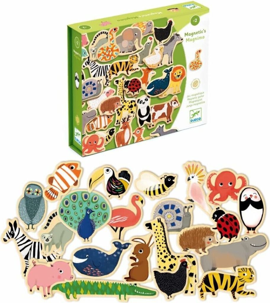 A box of magnetic animal toys and the toys themselves are displayed against a white background.