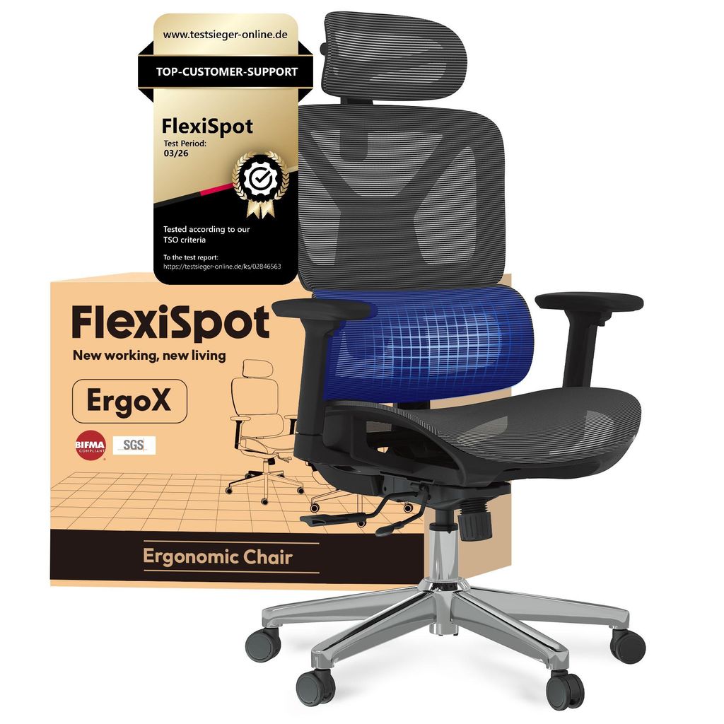 FLEXISPOT ErgoX Ergonomischer Bürostuhl Schreibtischstuhl 3D-Armlehnen&Kopfstütze 5D-verstellbare Rückenlehne Tragfähigkeit von 136 kg Grau