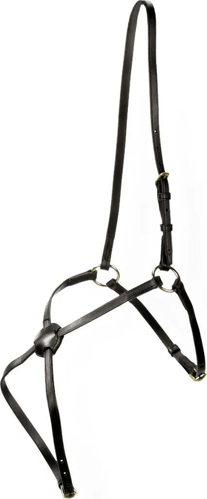 Licol interchangeable mexicain Carmen noir taille Cheval et Demi-sang