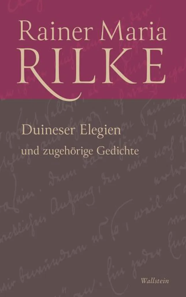 Comprendre Rilke avec les Duineser Elegien : Guide et Texte Expliqué - 2