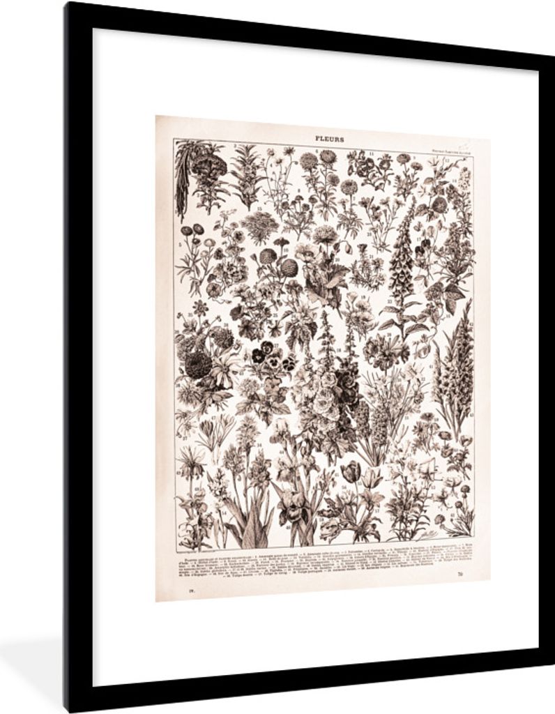 MuchoWow Gerahmtes Poster Pflanzen - Blumen - Schwarz - Weiß 60x80 cm - Poster mit Schwarzem Bilderrahmen Wandposter Rahmen Foto Bilder - Wohnzi...