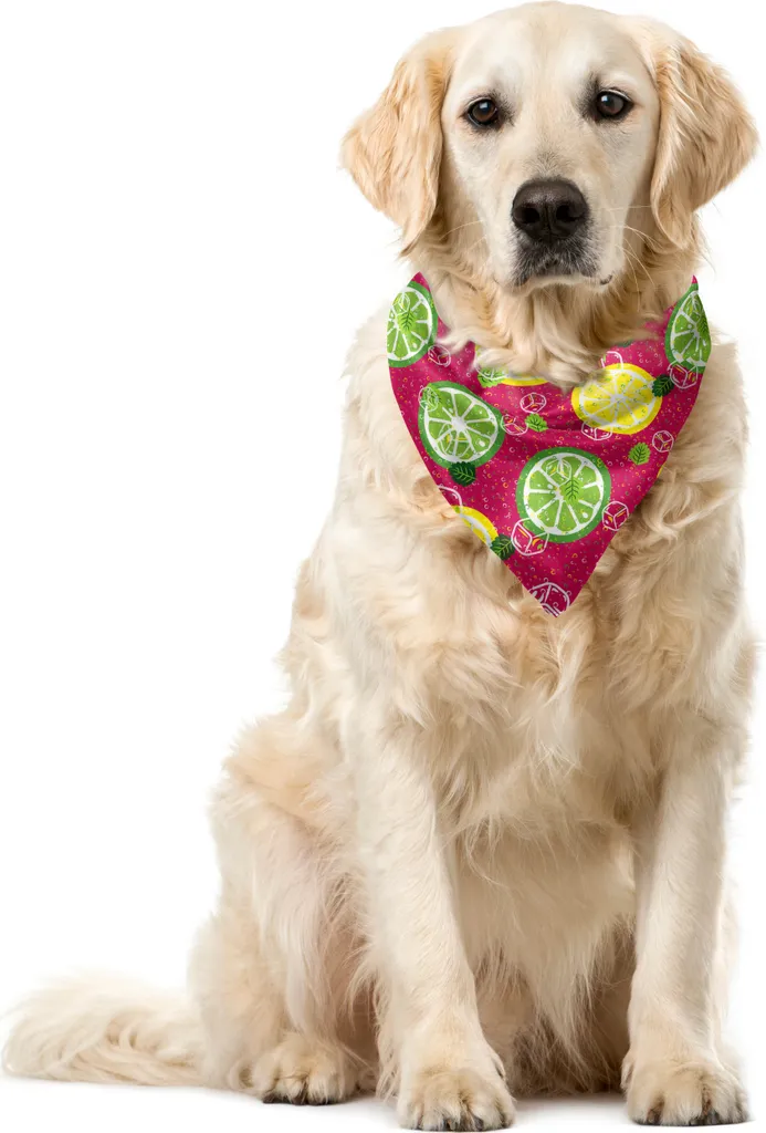Bandana Cane ABAKUHAUS Lime e Limone - Look Estate 55x55 cm Verde
