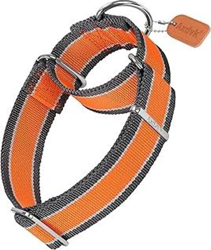 Collare Martingala Arancione Grigio 4cm | Nylon 1600D per Trekking