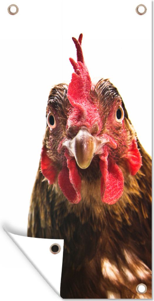 MuchoWow 40x80 cm Outdoor-Poster Gartendeko Sichtschutz Garten Poster für den Garten Nahaufnahme Hahn Fotodruck