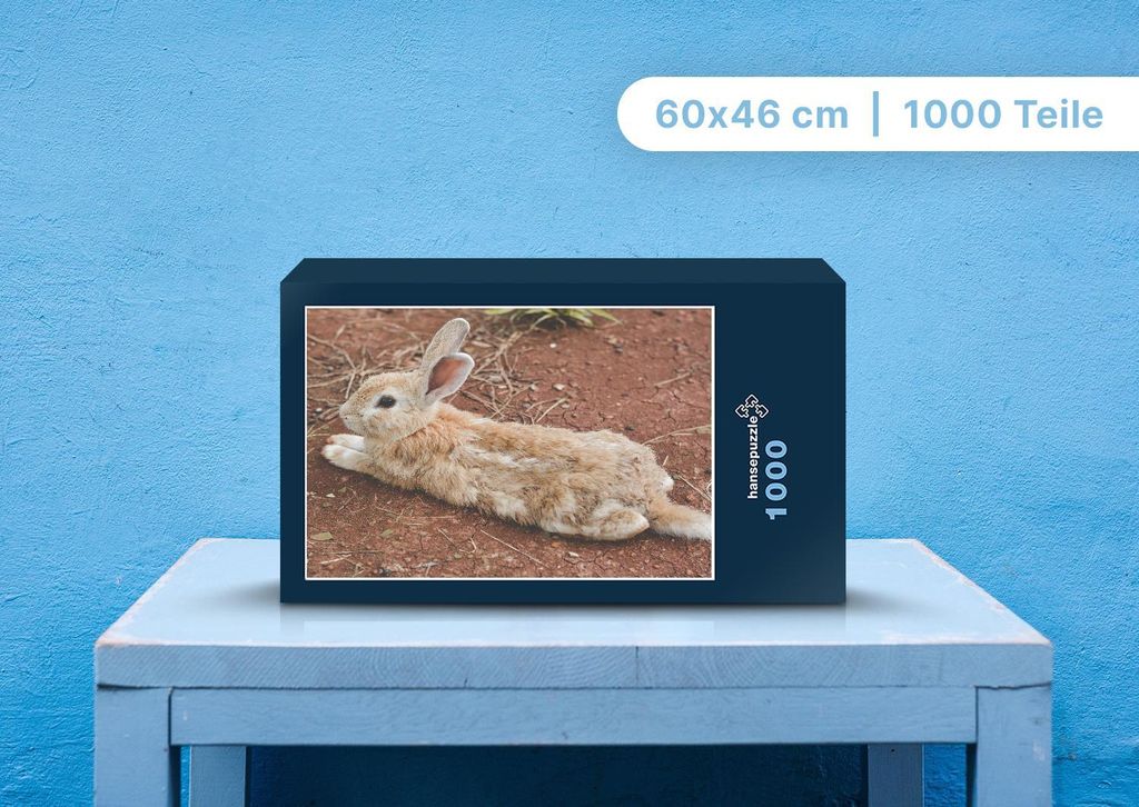 hansepuzzle 108204 - Hase Puzzle, 1000 Teile, Tierwelt, 60,0 x 46,0cm mit hochwertiger Aufbewahrung, Kartonbox und wiederverschließbarem Beutel