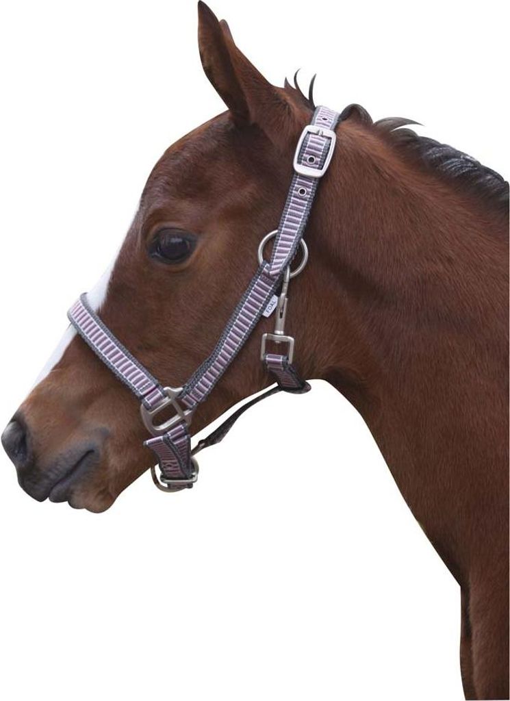 CATAGO - RIO Halfter - hellblau-grau - Shetty