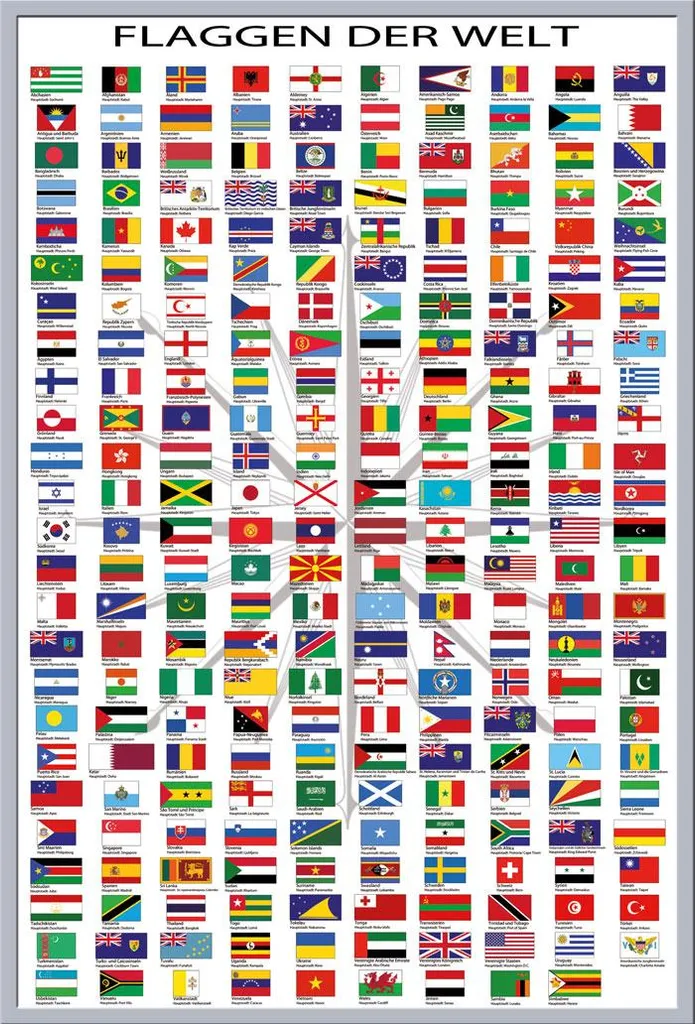 Poster Éducatif Drapeaux du Monde 61x91,5 cm - Cadre Plastique Argent