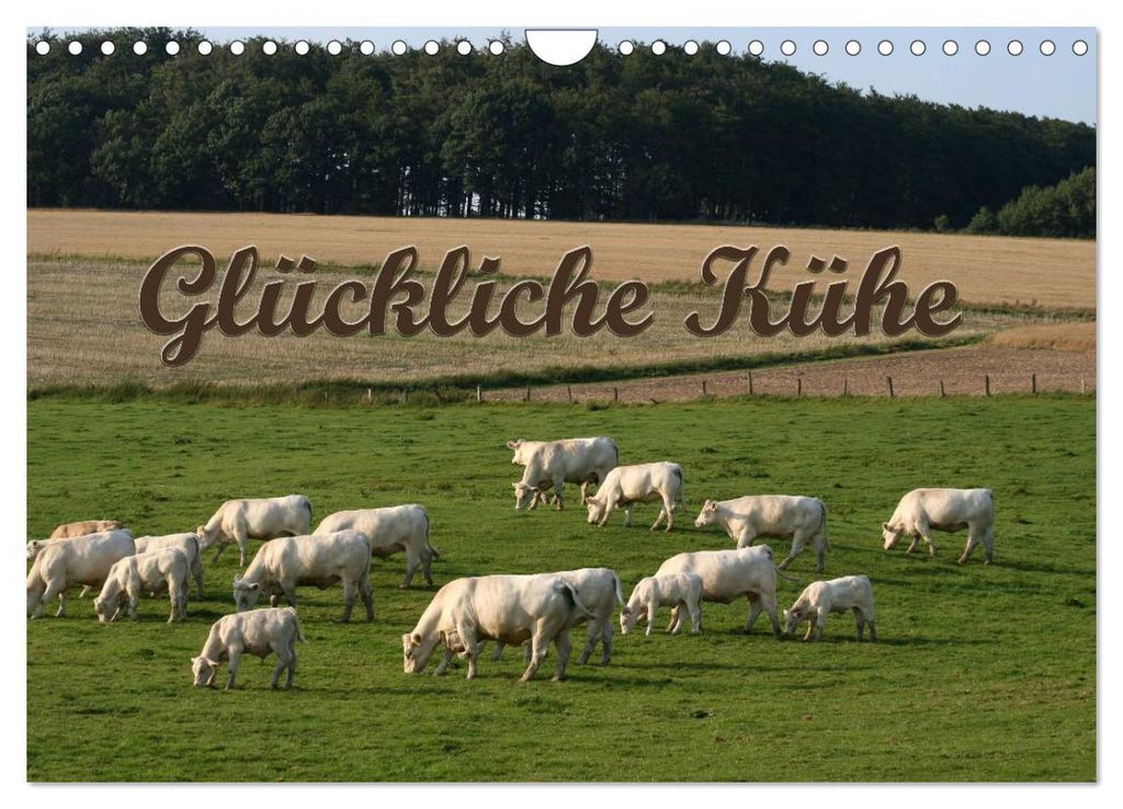 Glückliche Kühe (Wandkalender 2027 DIN A4 quer), CALVENDO Produktbild 