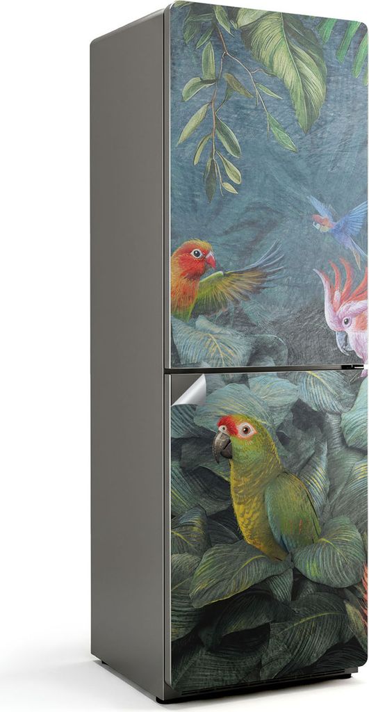 Tropische Vögel im Dschungel – Kühlschrank Aufkleber – Klebefolie Kühlschrank – Kühlschrank Dekor – Kühlschrankfolie selbstklebend –...