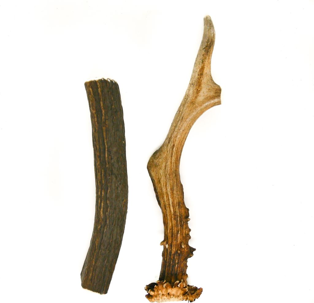 Hirsch- & Rehwigeweih L 111 - 230 g 13-22 cm Hard (2 Stücks)natürliches Geweih, Öko Kausnack für Hunde, gesundes Kauspielzeug, Kauknochen für ...