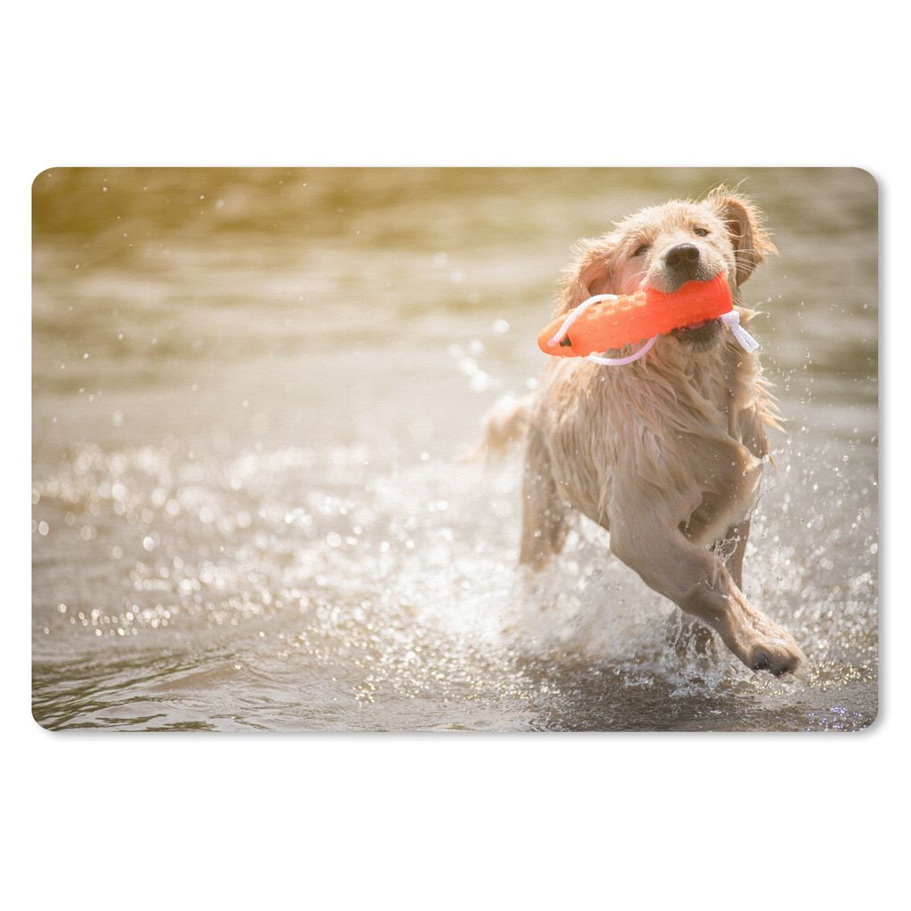 MuchoWow Mauspad Mousepad Ein reinrassiger Golden Retriever Welpe läuft im Wasser 27x18 cm - Mousepads - Maus Mat - Pad - Mausunterlage - Büroa...
