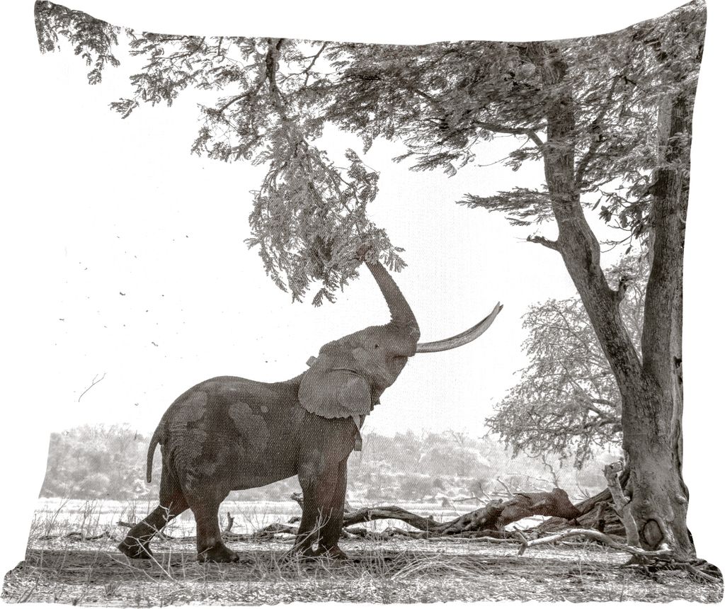 MuchoWow Zierkissen Sofakissen Wohnzimmer Dekokissen 45x45 cm Elefant - Baum - Tiere - Schwarz und weiß - Schlafpolster - Polster für das Sofa