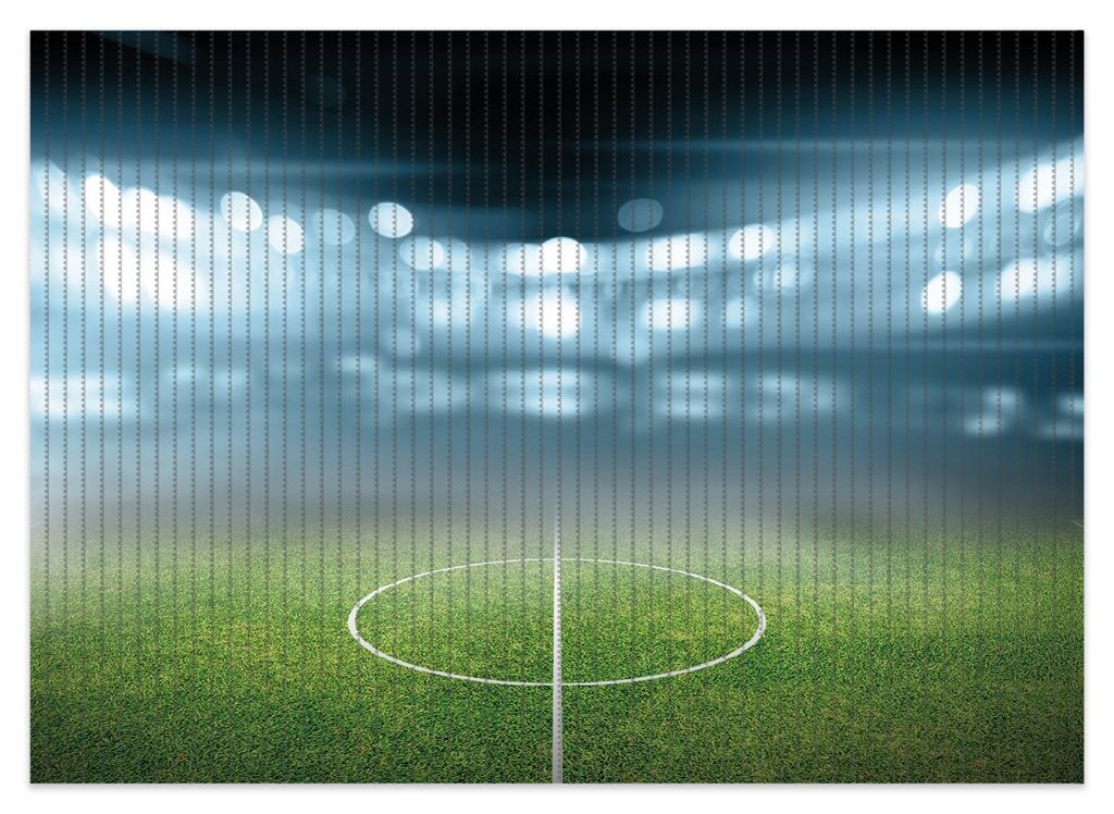 Wallario Duschmatte Antirutschmatte Badmatte Fußmatte Fußball Stadion Mittellinie II, Größe ca. 70 x 50 cm