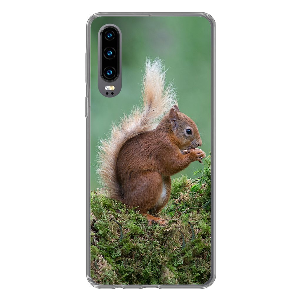 MuchoWow Handyhülle Schutzhülle Hülle für Huawei P30 Waldtier - Eichhörnchen - Moos Silikon Softcase Handy Hülle - Kartenbesitzer