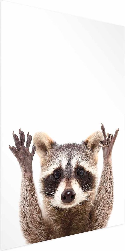 Posterpapier Poster - Raccoon 60x90 cm Für Kinder g-B-0097-ao-a