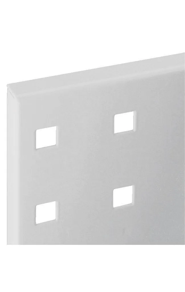 RASTERPLAN panneau perforé mural 1000x450 pour établi - Gris clair