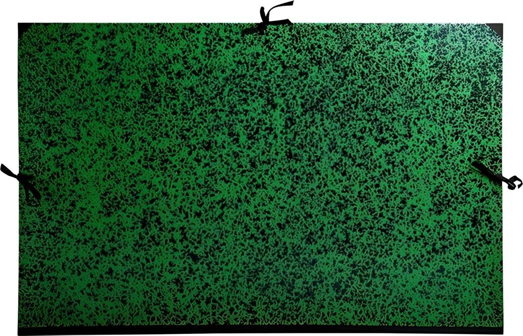 EXACOMPTA Zeichnungsmappe "Annonay" 670 x 940 mm schwarz grün