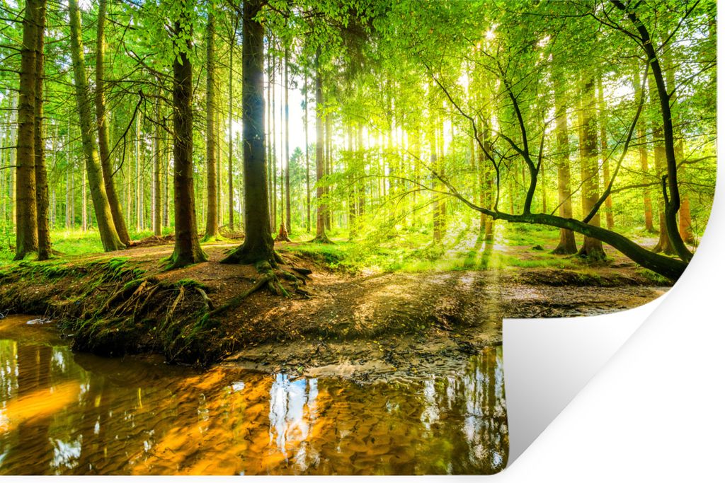 MuchoWow Wandtattoo Wandsticker Wandaufkleber Wald - Landschaft - Wasser - Bäume - Sonne - Grün - Natur 30x20 cm Selbstklebend und Repositionie...