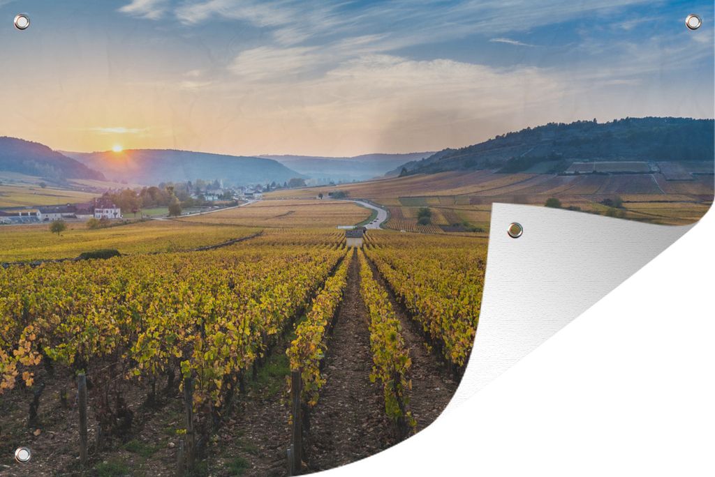 MuchoWow 120x80 cm Outdoor-Poster Gartendeko Sichtschutz Garten Poster für den Garten Frankreich - Weinberg - Sonne