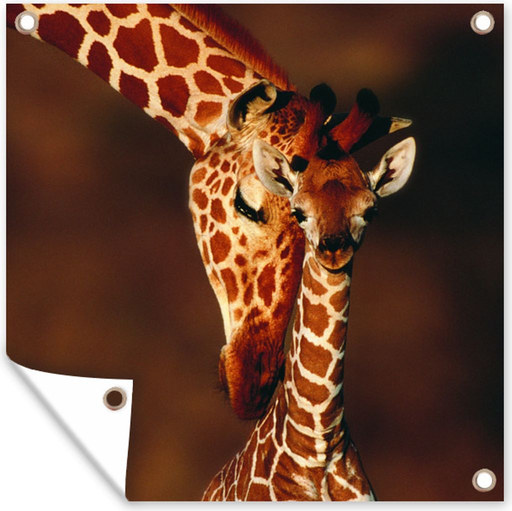 MuchoWow 50x50 cm Outdoor-Poster Gartendeko Sichtschutz Garten Poster für den Garten Giraffe - Kalb - Porträt