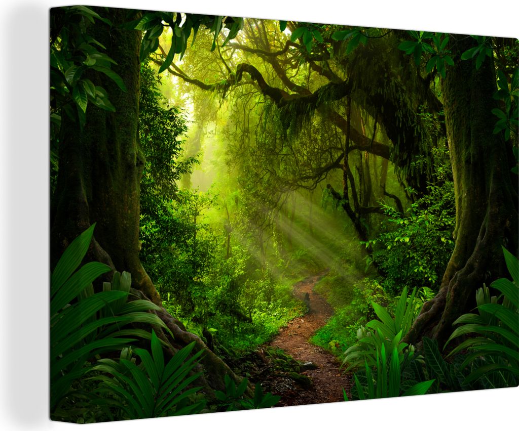 OneMillionCanvasses - Leinwandbilder - 150x100 cm, Dschungel - Pflanzen - Asien - Jungen - Mädchen - Kind, Wandbilder Kunstdruck Wanddekoration